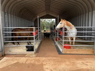 Heart Horses