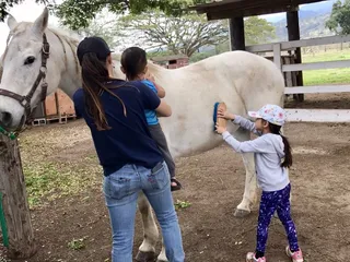 Lokahi Horsemanship