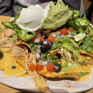 Half order of nachos with chicken