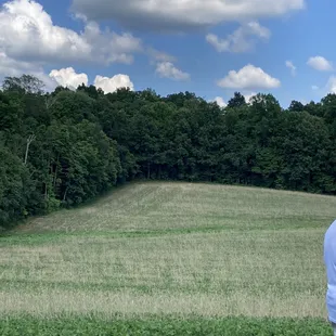 Beautiful rolling hills