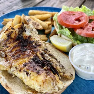 Grouper with jerk seasoning sandwich and chips