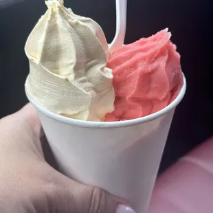 Vanilla custard &amp; cherry Italian ice