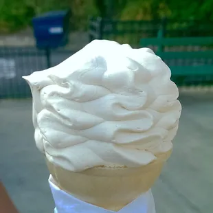 Toasted coconut custard