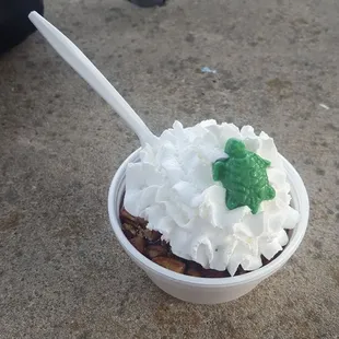 The Turtle Sundae (vanilla custard with caramel sauce, pecans, and whipped cream) comes with an adorable chocolate turtle on top
