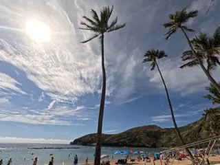 Pure Aloha Adventures