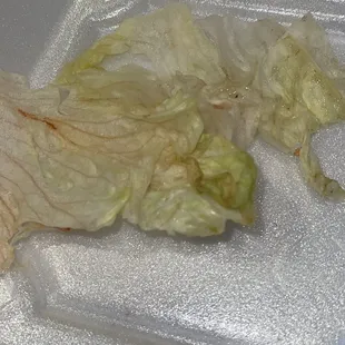 bad lettuce they gave me