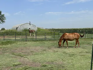 Arbuckle Mountain Fried Pies