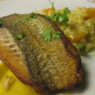 Pan Seared Sea Scallops