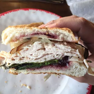Turkey Panini