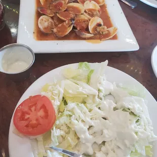 Clams Posilipo/ House salad with blue cheese dressing.