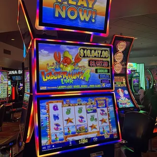 04/15/2024  Lobster Mania! I didn't win