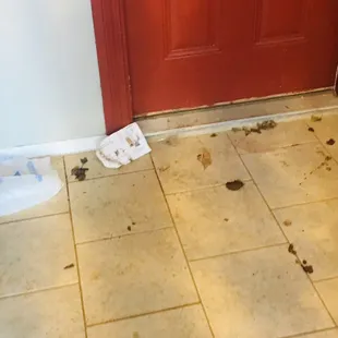 Trash