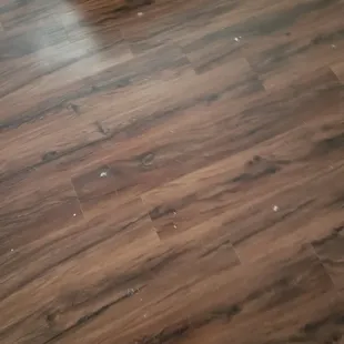 Paint splatters on the new hardwood floors Tuscany Village