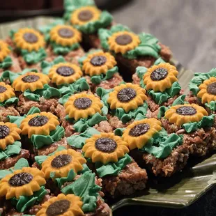 a tray of sunflower treats