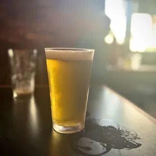 Pliny the god damn Elder