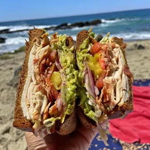 Rosa&apos;s Best Sandwich with no cheese
