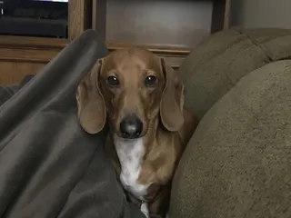 Garden Springs Elementary School