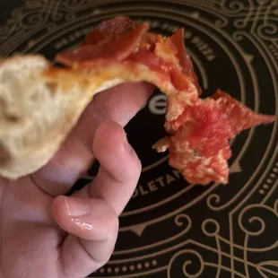 a hand holding a piece of pizza