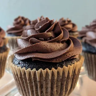 Chocolate cupcakes!
