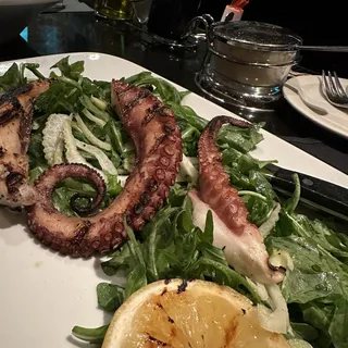 Grilled Spanish Octopus