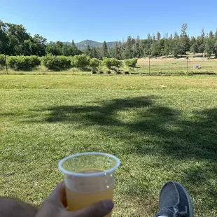 Indigeny reserve apple cider