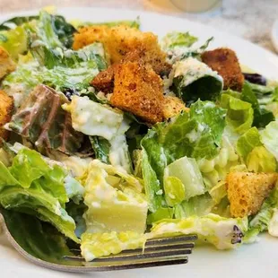 Caesar salad
