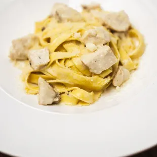 Chicken Fettuccine- Fettuccine pasta with chunks of chicken in a white cream sauce