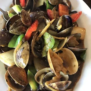 food, mussels, oysters and mussels, oysters, shellfish