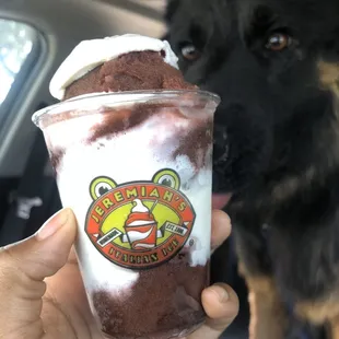 Black Cherry Gelati (&amp;Baloo)