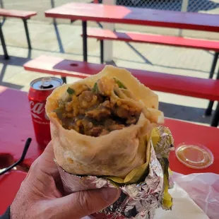 Carne Asada Burrito
