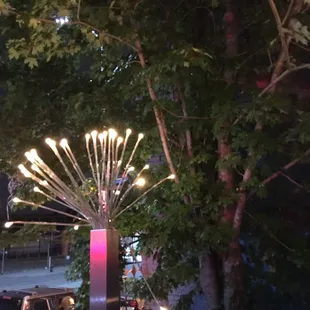 Came here for the music, got Distracted by the tree by the patio. Is it real or nah? #SoberLikeAGopher