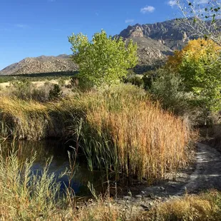 The view at the beginning of the hike from the Elena Gallegos picnic area.