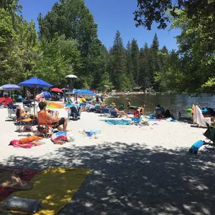 Beautiful Day at the Lake