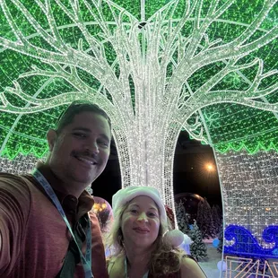 Glowing tree
