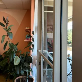 entrance + plants by the door