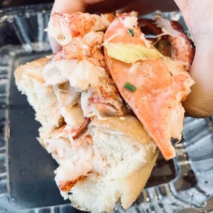 Maine Lobster Roll