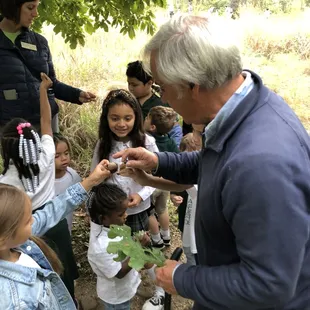 Volunteers are teaching the local school children about trees.