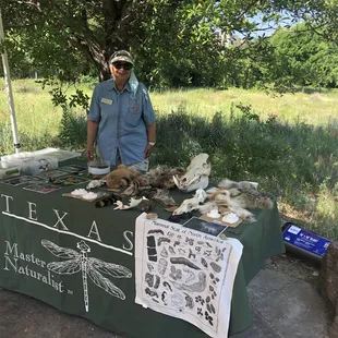 A North Texas Master Naturalist volunteer at the Blackland Prairie mammal table.