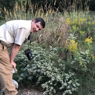 Dallas area urban wildlife biologist inspecting some plants for insects.