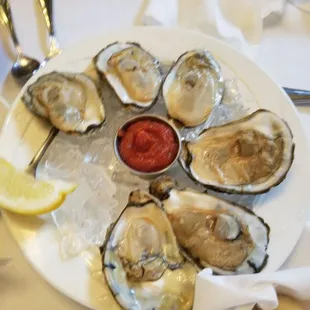 Blue point oysters