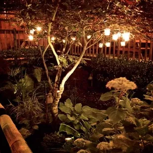 Back Patio
