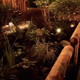 Back Patio