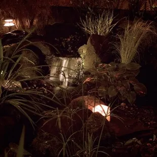 Back Patio