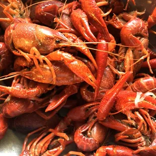 Crayfish