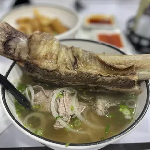 T. rex short rib pho