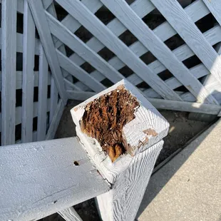 Other side of the first thing one sees upon entering