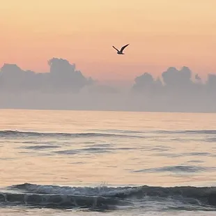 Good morning, Corolla beach.