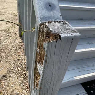 This is the entrance!