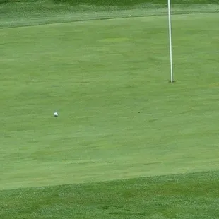 17th Green. On in 2! First time ever.