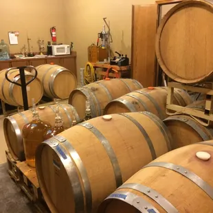 barrels in a wine cellar